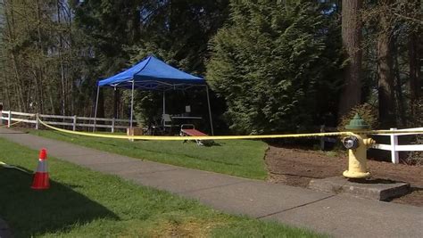 A 13-year-old boy drowned at a <strong>Washington lake</strong> and two other children were rescued, authorities said. . Body found in lake stevens wa